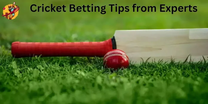 Cricket Betting Tips from Experts