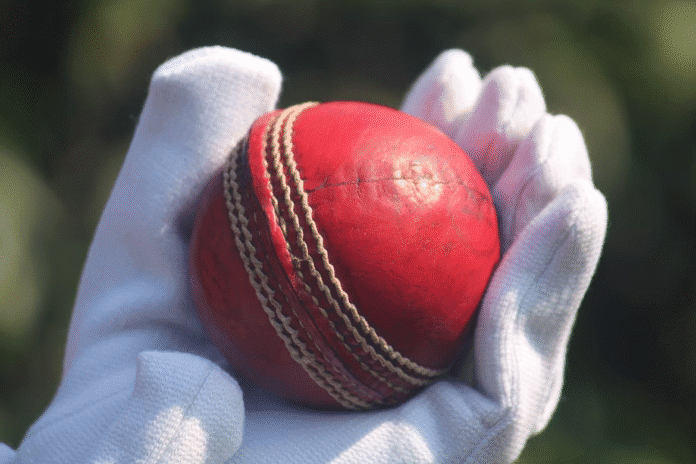 Cricket