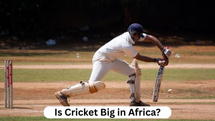 Is Cricket Big in Africa Is Cricket Big in Africa